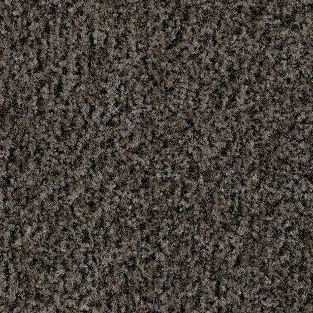 /Images/Forbo Coral Brush/Šedý čistící koberec kobercový čtverec Forbo Coral Brush 5714 shark grey.jpg