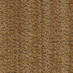 /Images/Forbo Coral Brush/Béžový čistící koberec kobercový čtverec Forbo Coral Brush 5754 straw brown.jpg