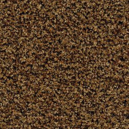 /Images/Forbo Coral Brush/Hnědý čistící koberec kobercový čtverec Forbo Coral Brush 5716 masala brown.jpg