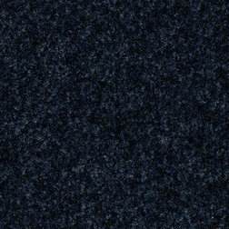 /Images/Forbo Coral Brush/Modrý čistící koberec kobercový čtverec Forbo Coral Brush 5727 stratos blue.jpg