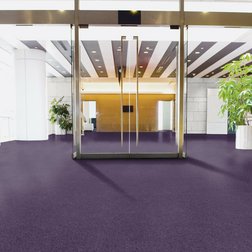 Tessera Create Space 1 1817 violetta ve vstupním prostoru.jpg